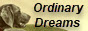 Ordinary Dreams Forum